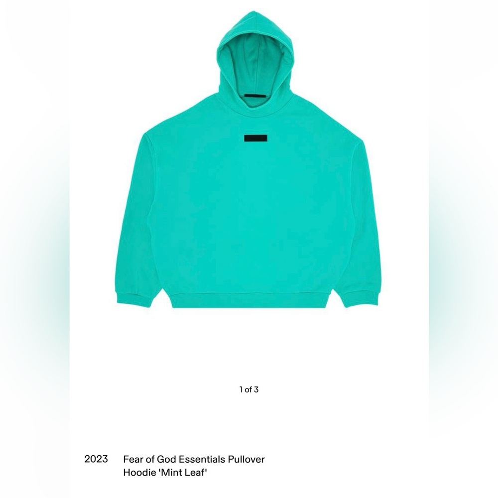 Brand new Mint ESSENTIALS Hoodie